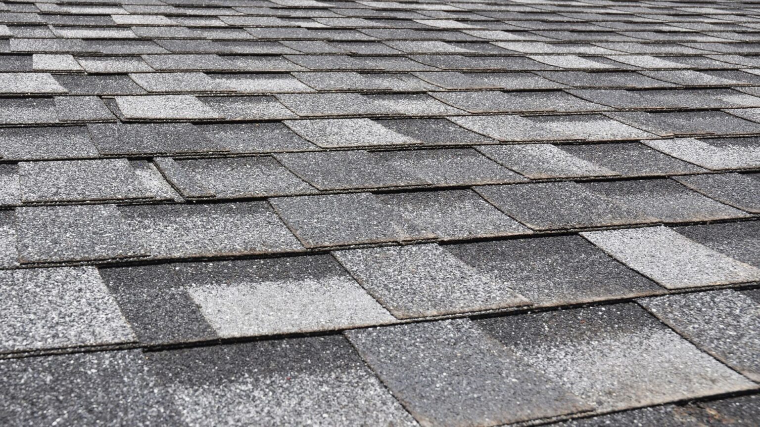 Ultimate Guide To Shingle Roofing NZ Hamilton Roofing Services